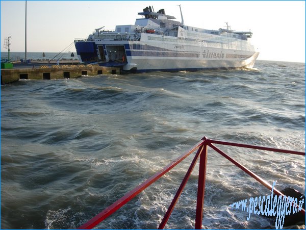 Fiumicino Punta new.JPG