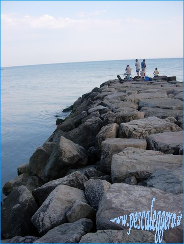 Porto Badino - punta nord.JPG