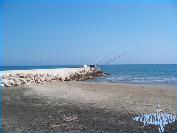 foce verde bilance.JPG