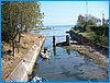 foce verde canale.JPG